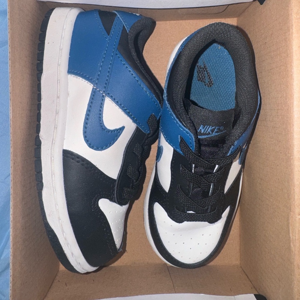 Nike Dunks